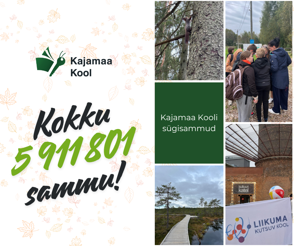 sammuvõistluse kokkuvõtte pilt